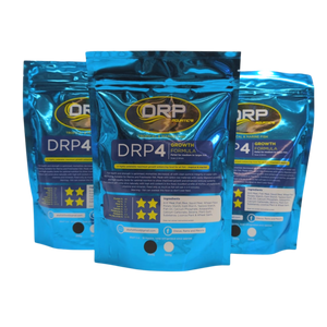 DRP4